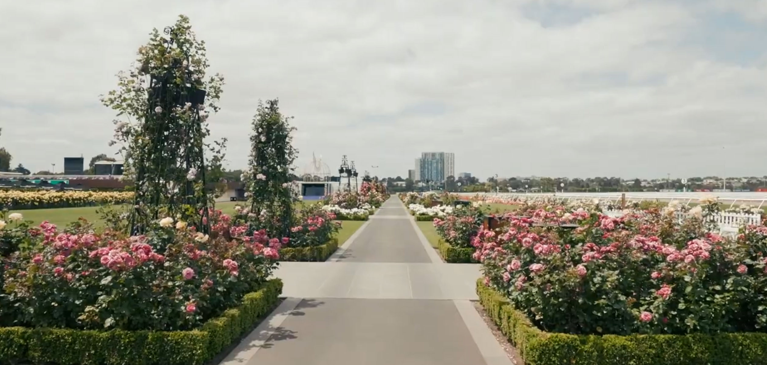 Flemington Racecourse and Sudden Impact for Roses