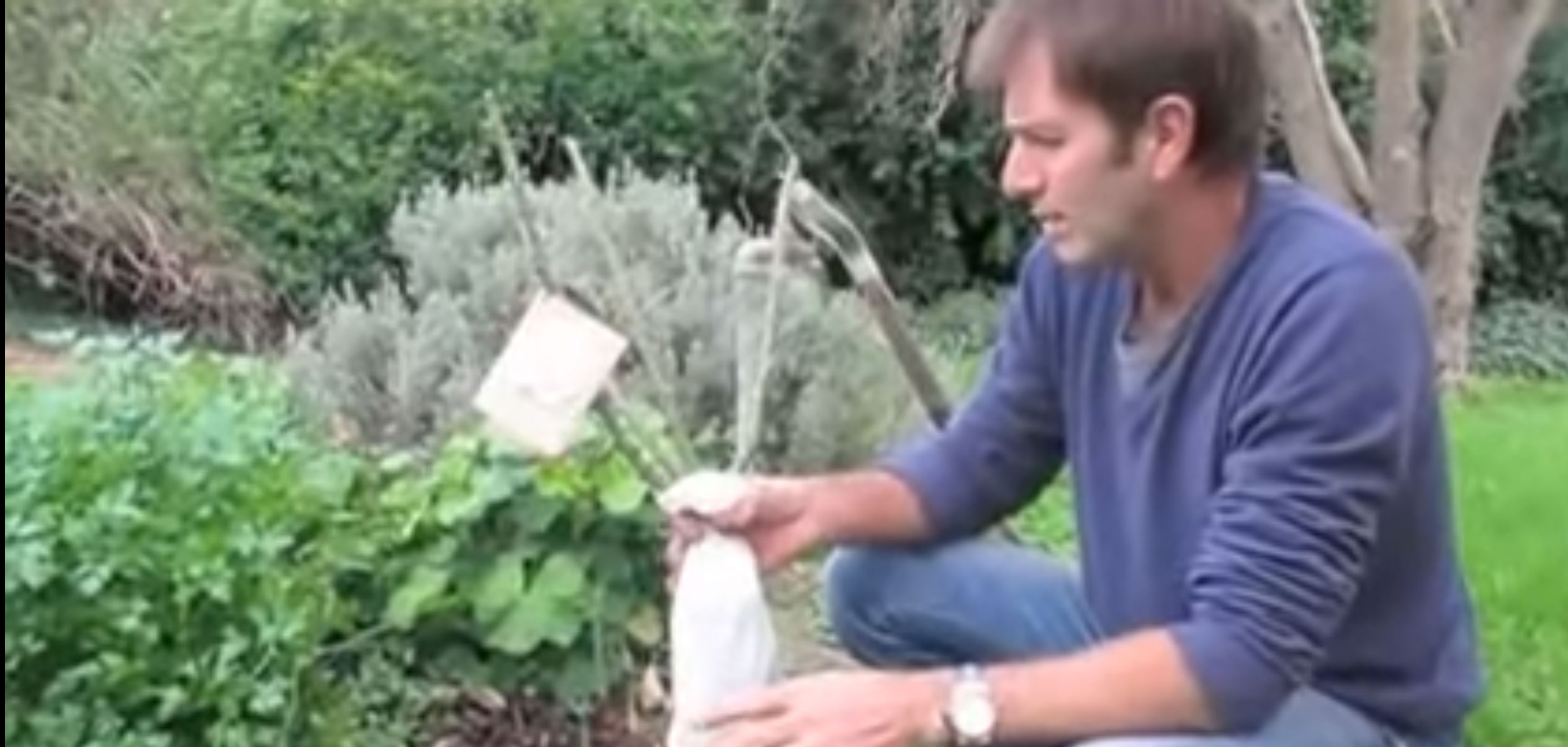 Planting a New Rose Bush with Brian Wagner