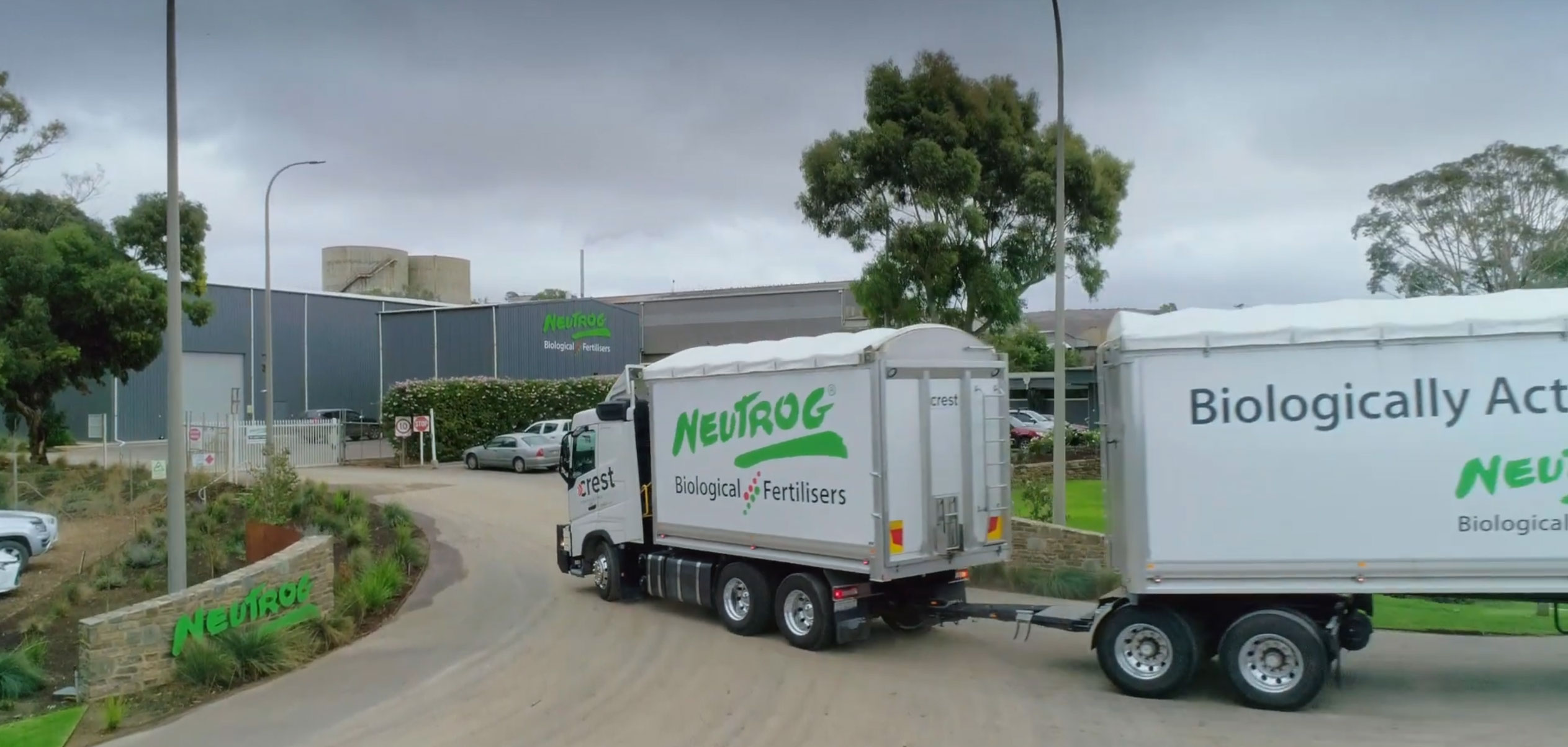 An Insight into Neutrog