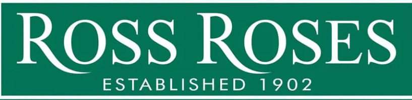 /Ross Roses