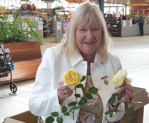 Diane vom Berg staging her entries at the show