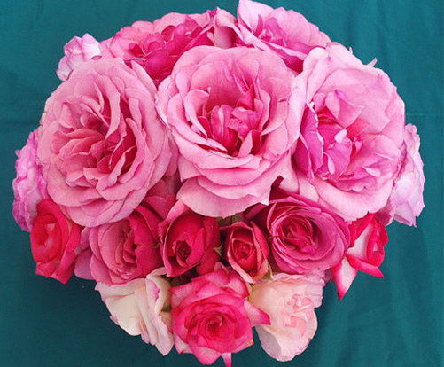 C Grade Champion Floral by J McCormick